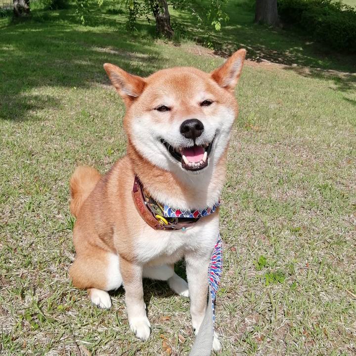 19cfb02f b235 4da0 a3da a0fe9612ddc9 1620519927179