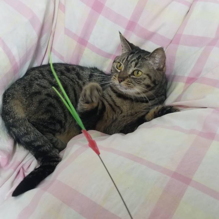 19cfb85c 1bdd 40a6 8acd 66d49bbfac44 1553645978997