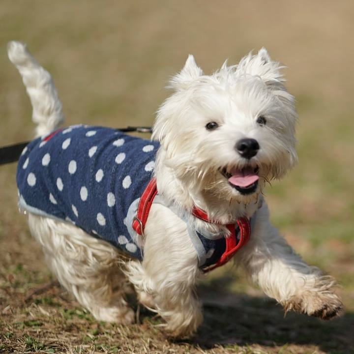 19d03e94 b737 44fd 83e5 23b0f3220969 1521199738191