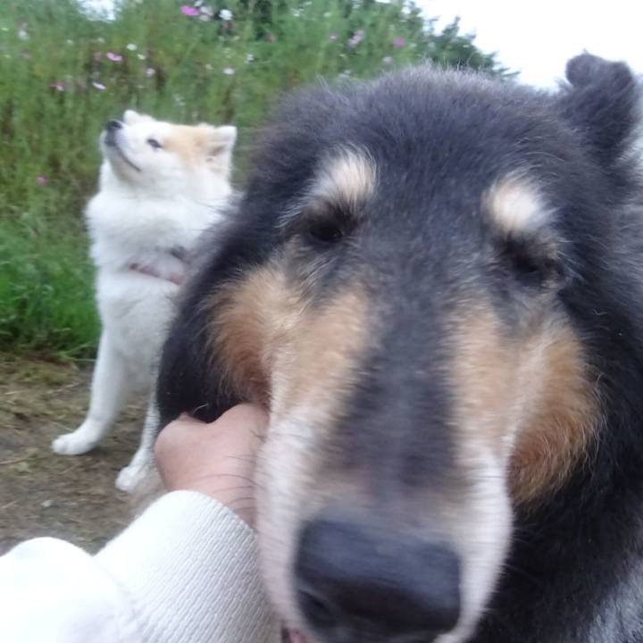 19d0556c be0c 42d6 9998 4bff02320783 1600865159312