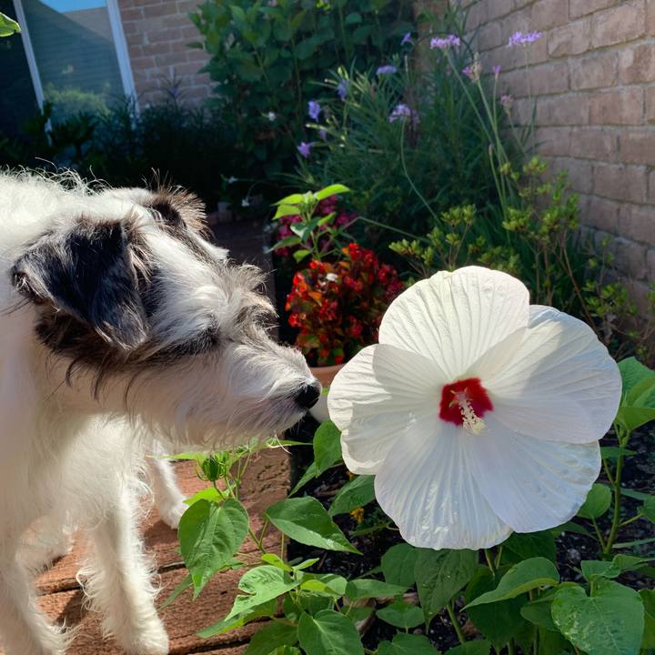 19d070bc 69ea 4b40 b459 78d6d3b3906c 1591741549431