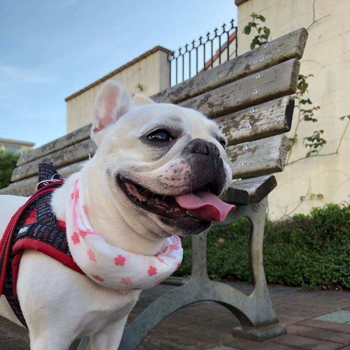 19d07cf8 004f 4936 bbc3 f5dee0352e28 1535247312401