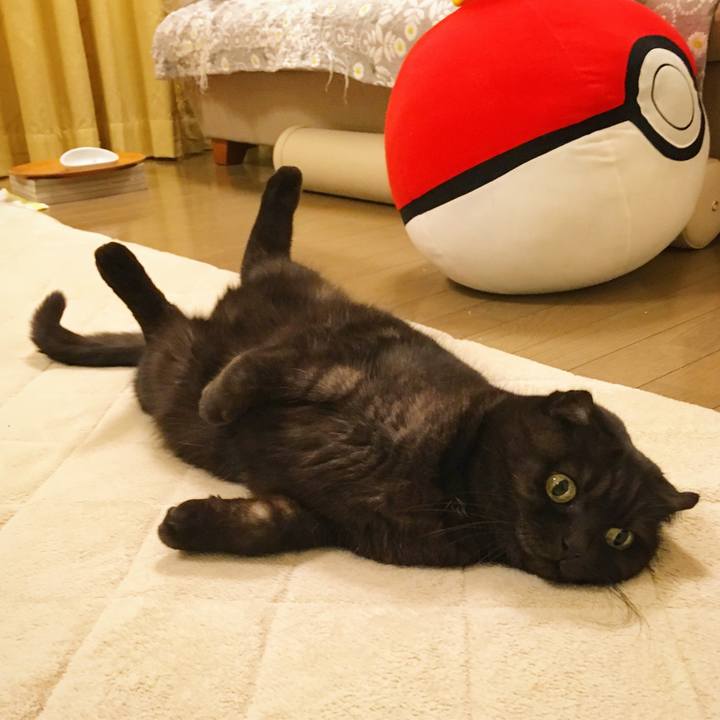 19d082ba 9e07 424e b48e c0e7235911f2 1512914522621