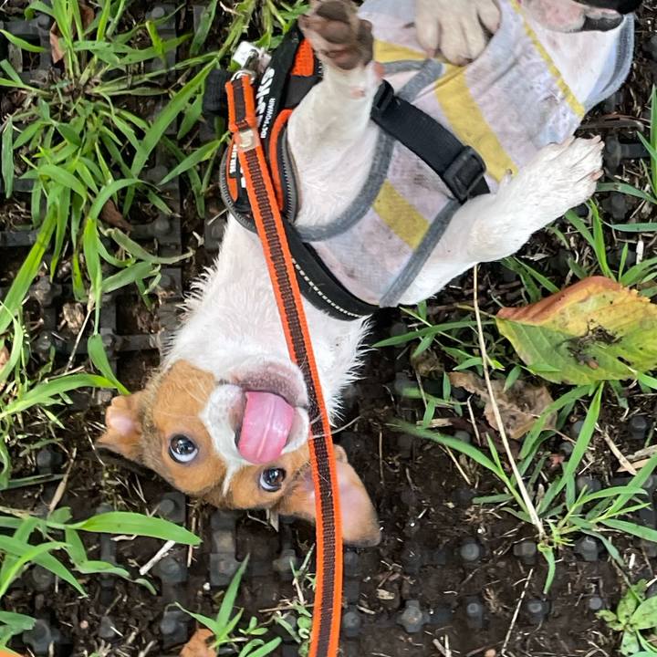 19d082d6 e2fe 4d86 b0dd 273b37acdde3 1692838508242