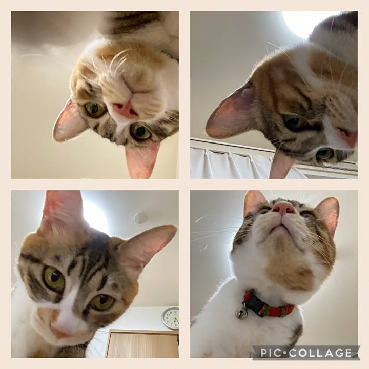 19d08b88 9da8 4ec1 9553 8e04fd29320b 1661853679164