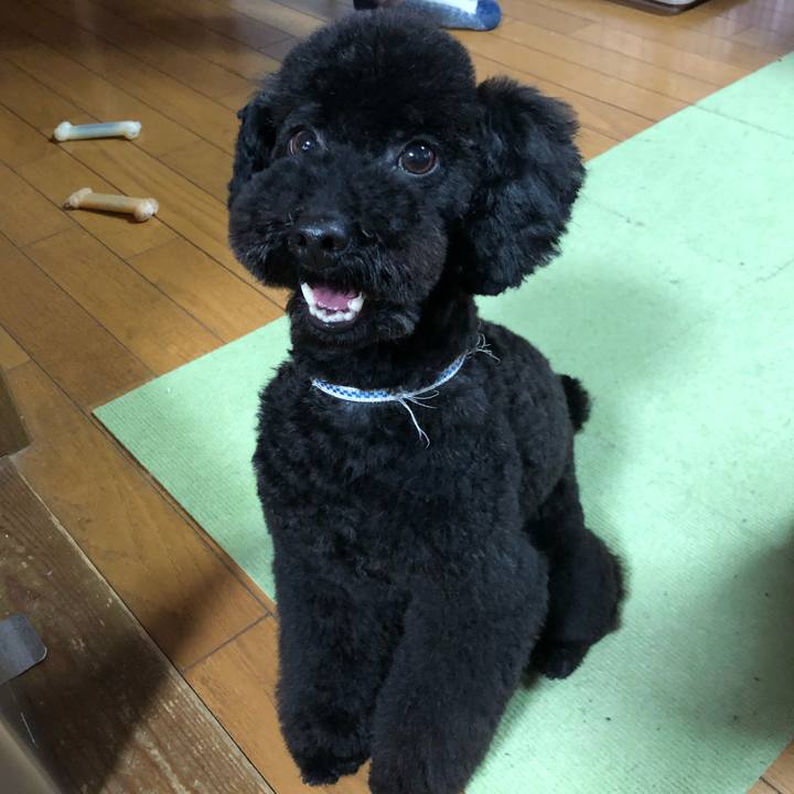 19d09b90 eaa8 4ee4 a950 21fca144a136 1553931251533