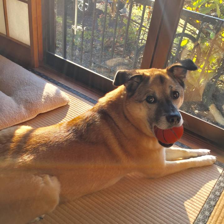 19d0a24f d808 4910 8d49 6f4ba3f41c7c 1511739470180