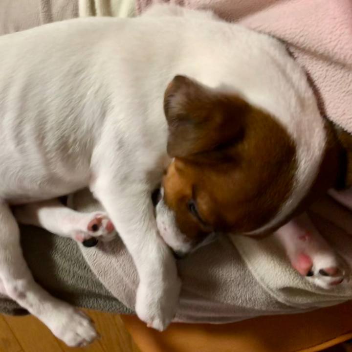 19d0a627 b76b 4a4d a63b 01ed87b44bbb 1514033619191