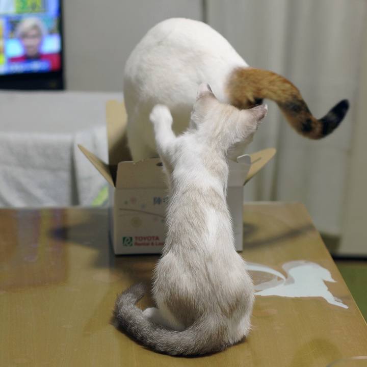 19d0b463 d4fe 4144 a712 9023eda2a426 1599909795291