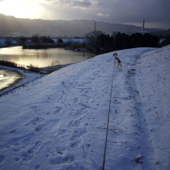 19d0ef28 e8d8 44c7 9c5a c755b4b19e42 1518493774549