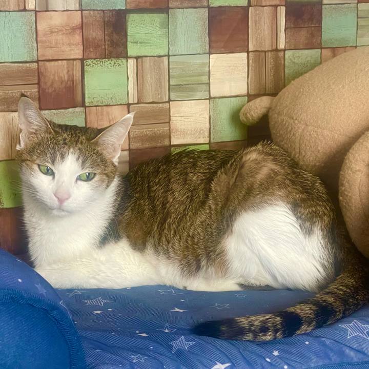 19d0f8ff de6f 444e 847d 935b066244d3 1639272004209