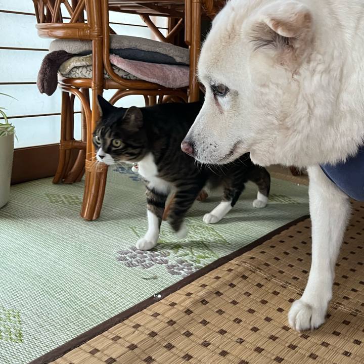 19d10457 e8d5 4cc9 84dc d122916354c4 1764890769006