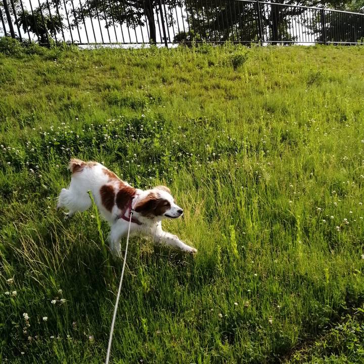 19d104f3 8e40 4693 bb82 6a5d1a944b77 1621940906292