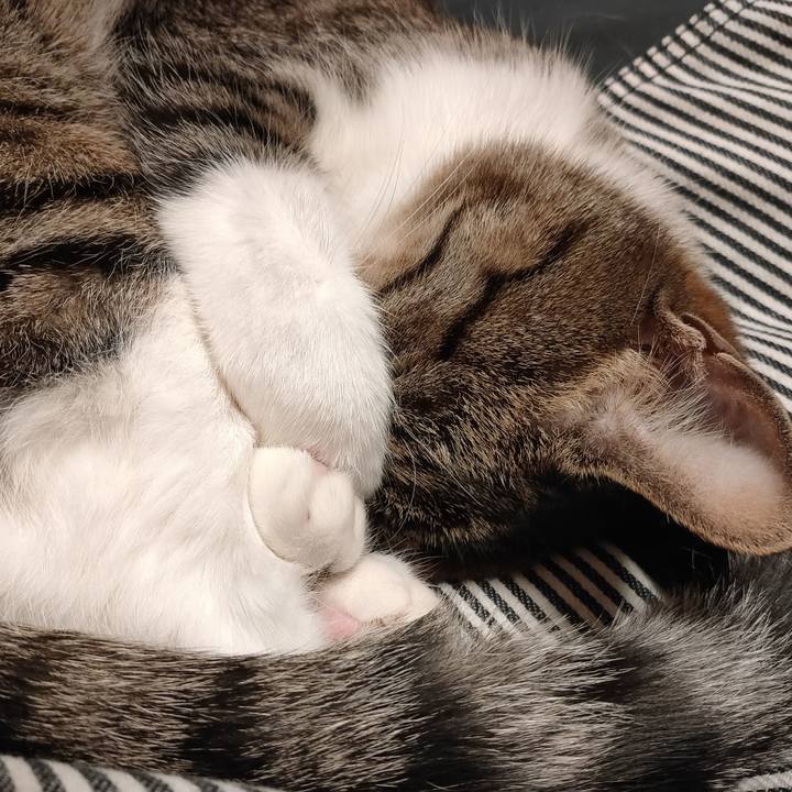 19d139f7 79ea 4465 befb 0c5fe0f5b048 1679914281595