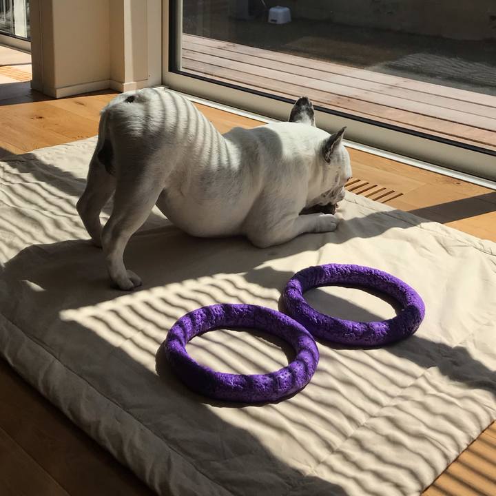 19d18fb5 2f4a 4d7b 83cd ea820aed1108 1584777434628