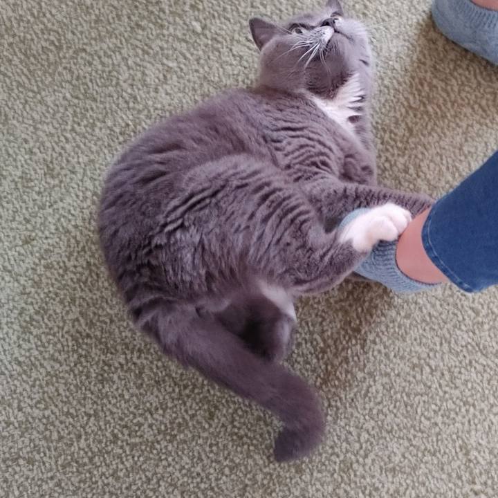 19d1b8b6 7616 49c4 aac6 86f81978c892 1728091563160