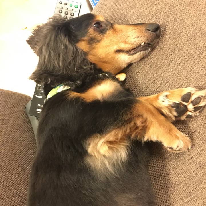 19d1f9cf 67ae 43e6 a0b1 7f88ba232324 1526132841057