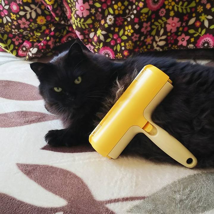 19d251af 479a 4814 8ddd 2362df6dfa78 1525999798808