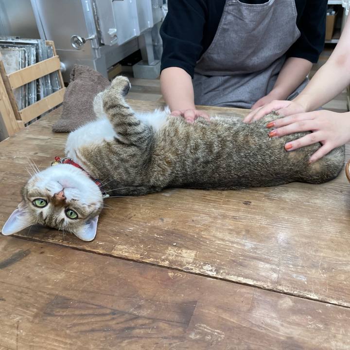 19d26df7 2f56 4773 96c9 8f17ae84f8c4 1694134104468