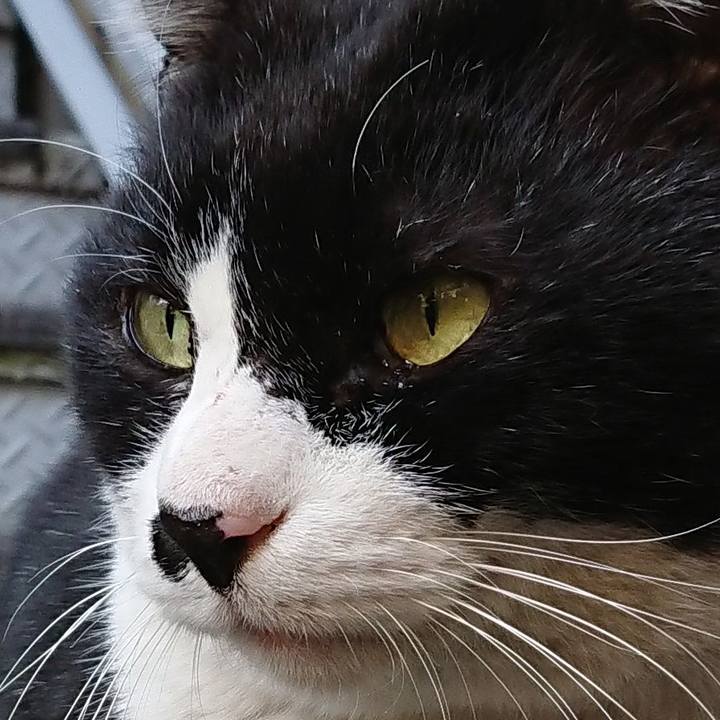 19d2e1a6 6a2f 4512 986b 2e8ddbb56e25 1547449211496