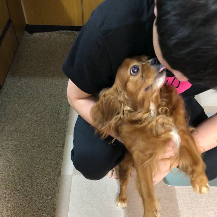 19d2fb51 263b 450f 86d6 97d56488d27c 1625696676157