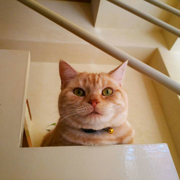 19d3359d 48bb 4b98 a6d4 ea34bbcdda6d 1511744095584