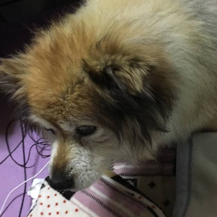 19d38a9f 05b7 4976 9b0d bf2068bd4266 1606294145274