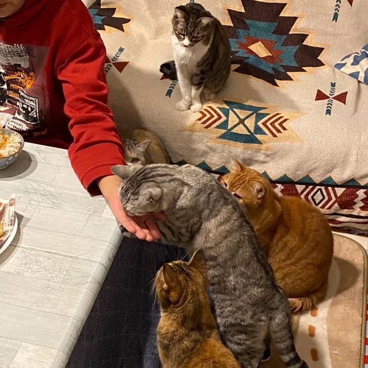 19d3b884 bce5 4964 86d0 d75970c5e3e2 1733265653256