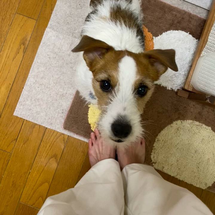 19d3c642 11c5 49a0 a1f5 5f19f3600047 1738496752826