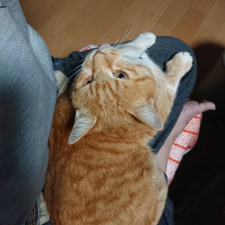 19d3cd58 7ec3 442f b14f 37a9982e44e8 1607115579776