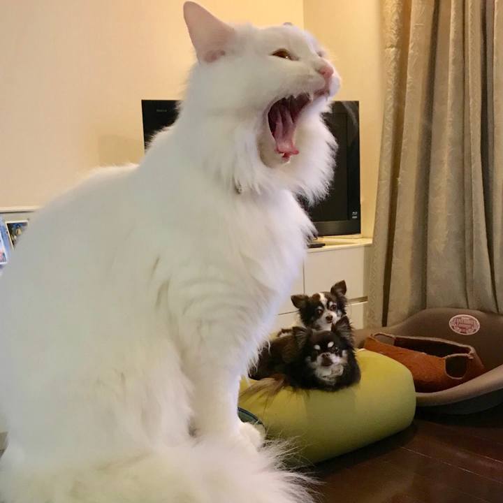 19d3d329 bfe3 482d bdfa 7920e41a312b 1551179713277