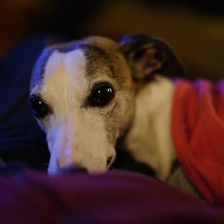 19d3e6b3 cd84 4c4e a835 c64c8e40bf61 1524567438511