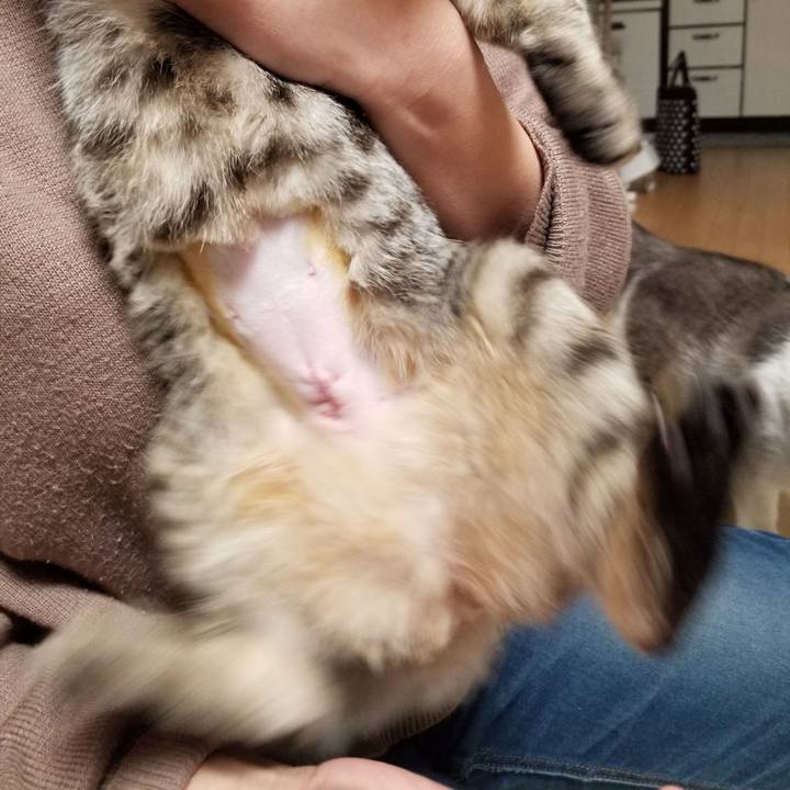 19d3ed17 9a94 44c1 955e a95e8ca117ce 1675161069435