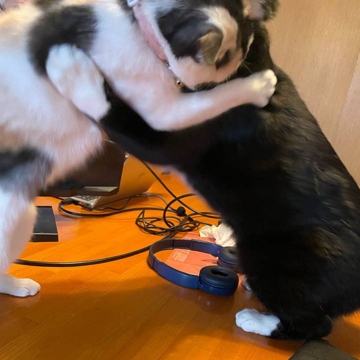 19d43158 24c4 4991 b872 90d91b2d7713 1736648089937