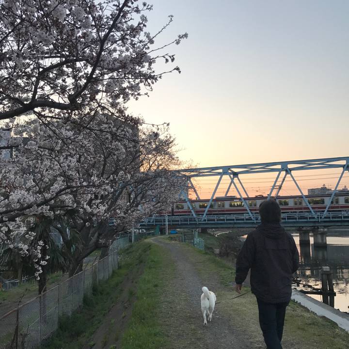 19d44700 82ad 475f a39b 7d75b0b6b4cf 1521971492503