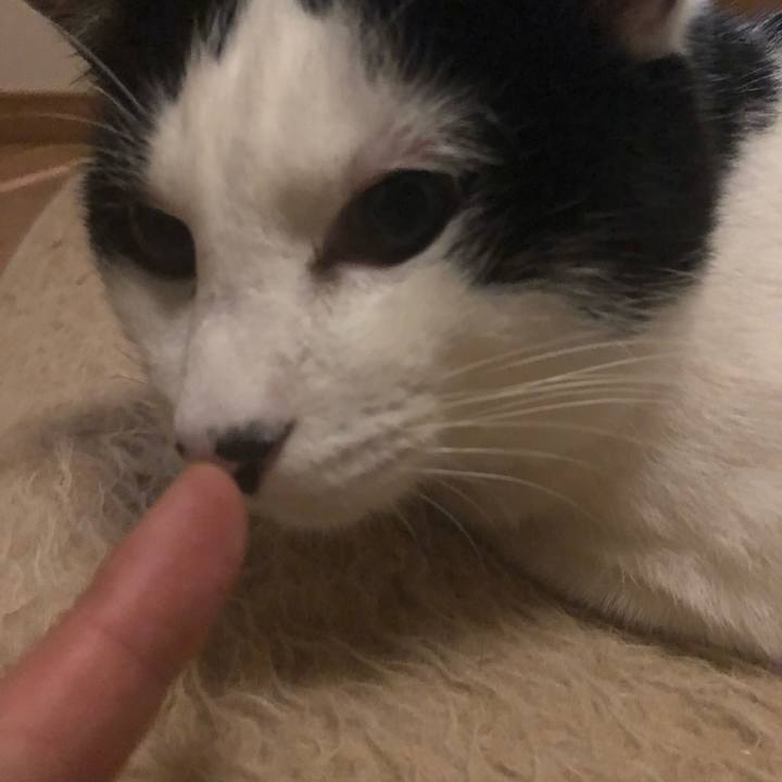 19d44cbb d455 4ed7 86aa 3cfccd77e2cd 1546791708203