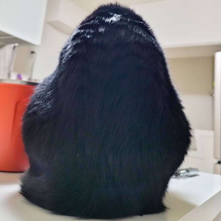 19d45b56 63b5 47cf bd37 8a2f467c3586 1683891520854