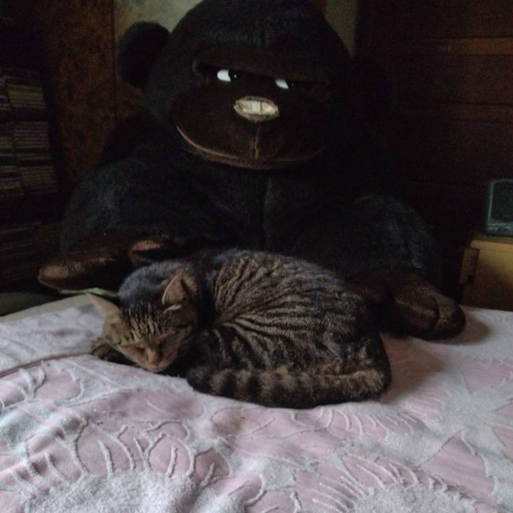 19d46448 bdd3 4730 9d82 901c8431f2e7 1695765621301