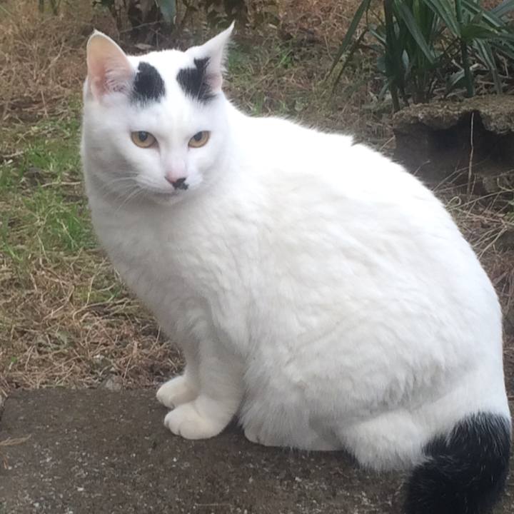 19d464bc 1e01 41f0 a48d 2005e9559e1b 1516452223619