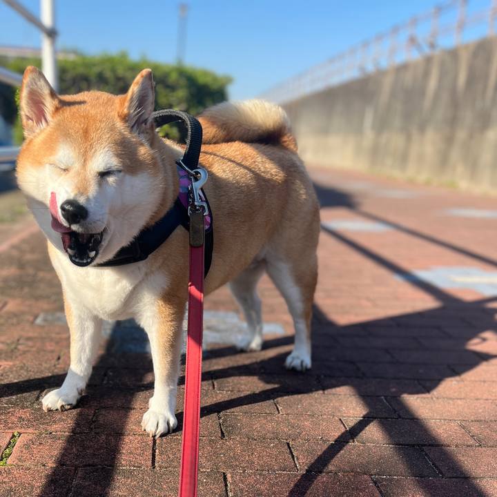 19d47ddf 4599 4902 be15 749e1deb38c6 1700786487610