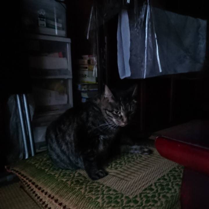 19d497ed 1f4f 4bc9 b513 3b1fbdbf38a5 1662152326125