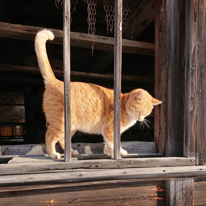 19d4a4f0 25fb 4af1 a5d6 eb345855e691 1582501064793