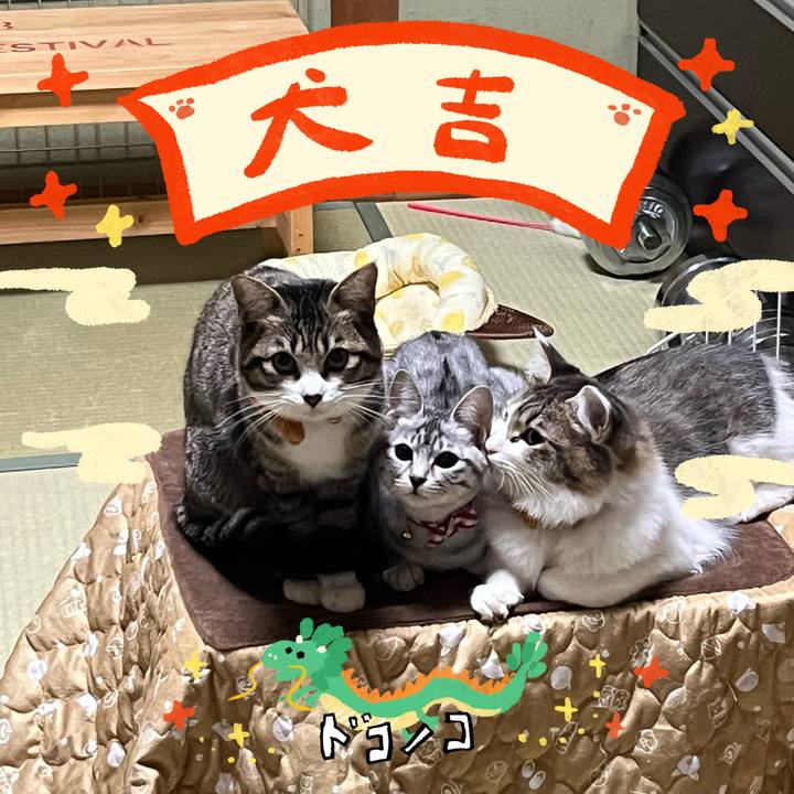 19d4a7f1 e2f6 44f3 9175 4c692a8d59f1 1704070581458