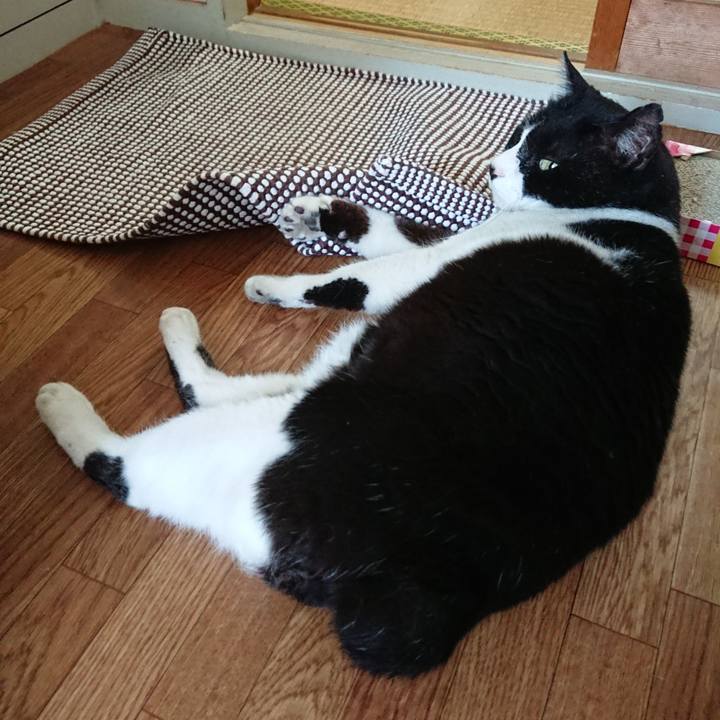 19d4ce3a 08c3 4082 b53a 2a48f6e72796 1527907816436