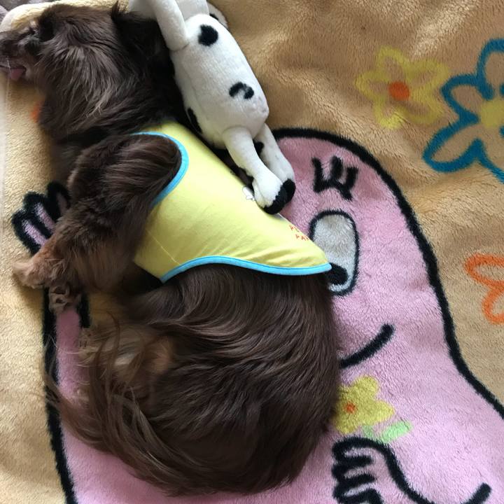 19d54cdd 92ec 4f8a b4fc ac218ffa7e93 1529715586760