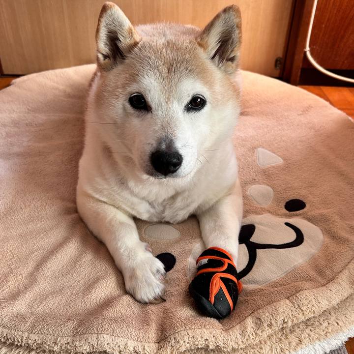 19d56498 a887 458e 8381 2604e72744cc 1736555982375