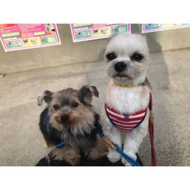 19d5741c 4165 4b9b 9f13 82179803dd31 1552562394674