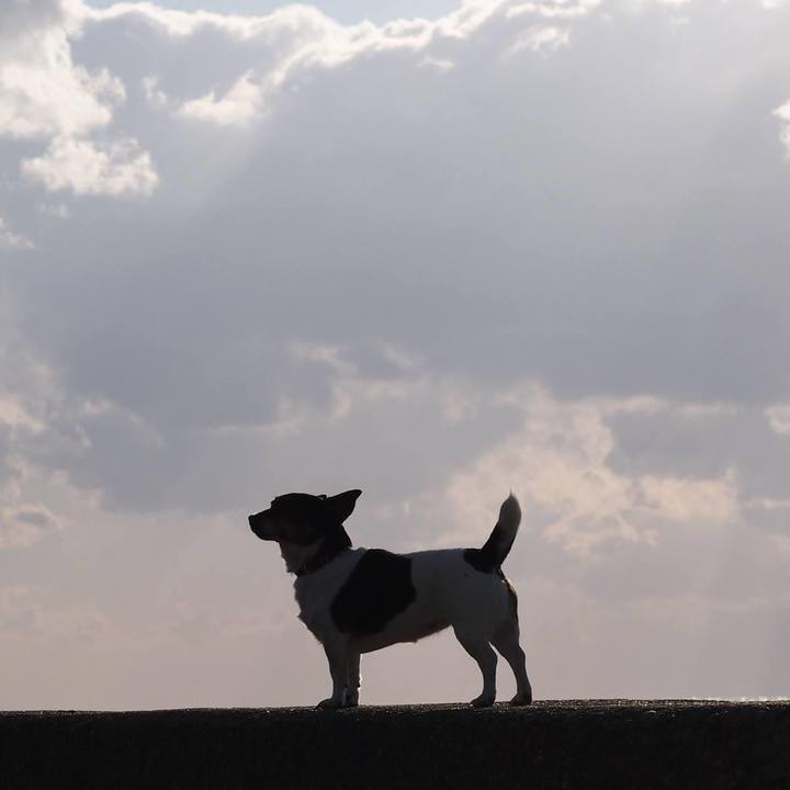 19d57c29 fd93 4cde be30 145de27814a4 1586221004593