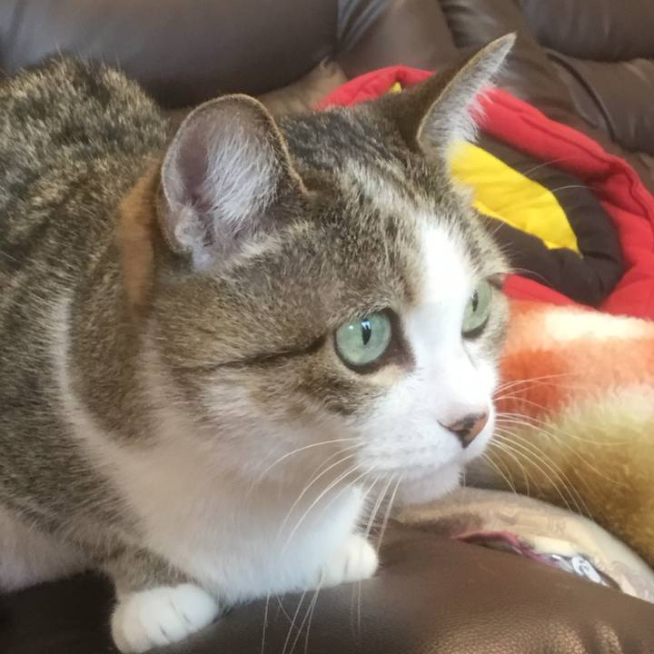 19d5a7c8 a120 4294 9ab7 4a80680378c2 1771973951277