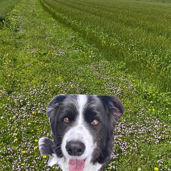 19d5b72c 934b 4f78 898e 7d4d65f6c284 1745719814750